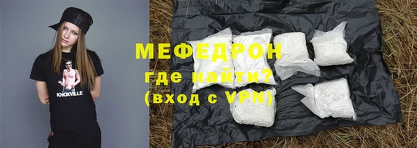 индика Гусиноозёрск
