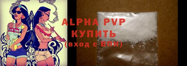 индика Гусиноозёрск