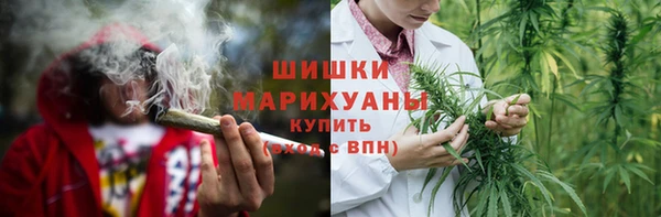 mdpv Гусь-Хрустальный