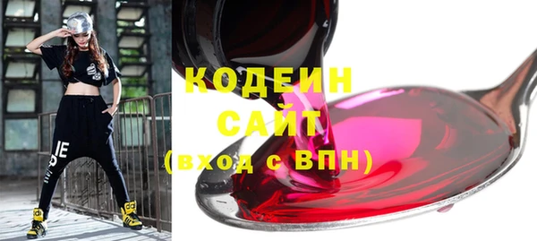 индика Гусиноозёрск