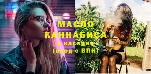 индика Гусиноозёрск