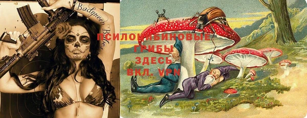индика Гусиноозёрск