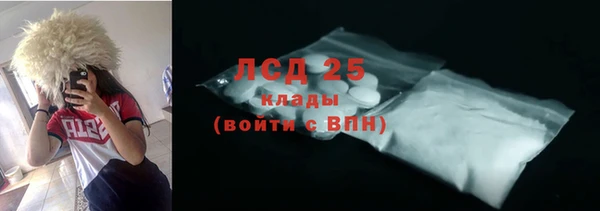 индика Гусиноозёрск