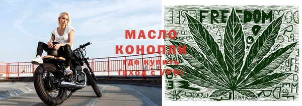 индика Гусиноозёрск