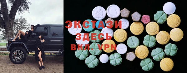 индика Гусиноозёрск