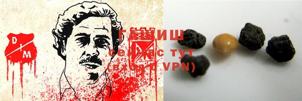 индика Гусиноозёрск