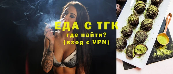 индика Гусиноозёрск