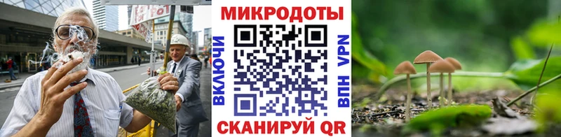 Галлюциногенные грибы MAGIC MUSHROOMS  Майкоп 